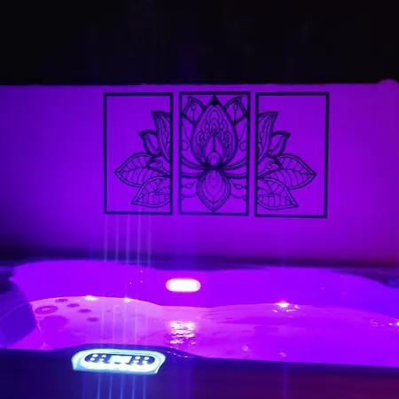 Le Romantique Avec Jacuzzi Privatif